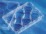 https://www.dev3.thermofisher.com/content/dam/LifeTech/Images/Brands/search/default-brand.jpg